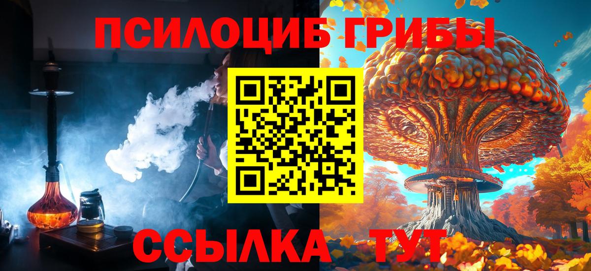 Октябрьский  Галлюциногенные грибы Psilocybe  Вход с VPN 